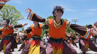 愛知淑徳大学 鳴踊　第20回犬山踊芸祭　2024年6月1日　城前広場会場