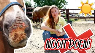 Doe dit NOOIT met je paard in de ZOMER! | felinehoi