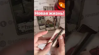 Срочно❗️Это Невероятно... 🌓✨ Расклад таро #shorts  #онлайнгадание