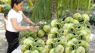 FULL 151 DAYS GARDENING Harvesting VIETNAM COCONUTS, ALOE.. sell in market & Cooking-NHUNG FARM LIFE