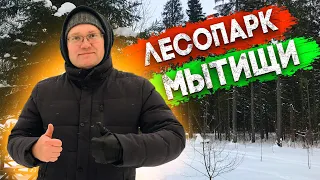 Зимняя сказка! Лесопарк в Мытищах