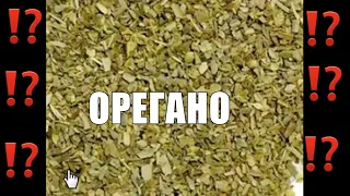 Польза специй Орегано Чем полезен орегано