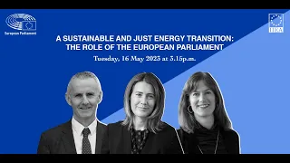 A Sustainable and Just Energy Transition: The Role of the European Parliament