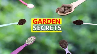 ALL GARDENING SECRETS YOU LEARN AT GARDEN TIPS? | LIST OF GARDENING VIDEOS