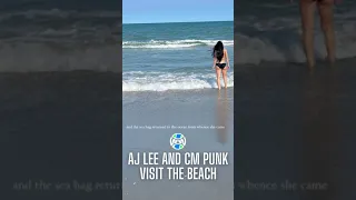 AJ Lee and CM Punk Visit The Beach In New Video!