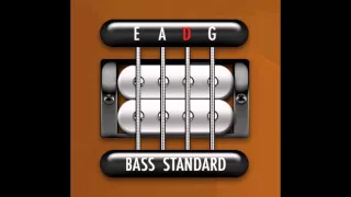 Perfect Guitar Tuner (Bass E Standard = E A D G)
