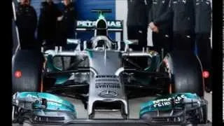 F1 Race 2014 : German Grand Prix - Marshals Run Out on track