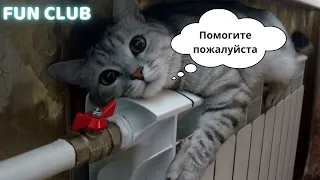 🍊🎄ЗИМНИЕ ПРИКОЛЫ / ЛУЧШИЕ ПРИКОЛЫ / ПРИКОЛЫ ДЕКАБРЬ 2022 / ЗИМА 2022 / ЗИМНЯЯ ПОДБОРКА/ #новыйгод 🍾🍊