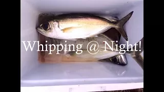 Whipping At Night For Bigeye Scads "Akule" !