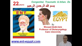 Larynx 2 (Mosaad Abdel-Aziz): Congenital, Traumatic & Inflammatory Diseases of the Larynx