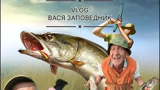 VLOG -  Как живёт Вася заповедник ? Уехал жить с Минска в глухую деревню ?