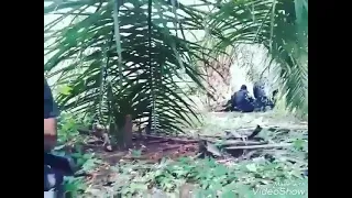 situasi cemas OPS DAULAT dari pasukan 69 Komando PDRM ☠️