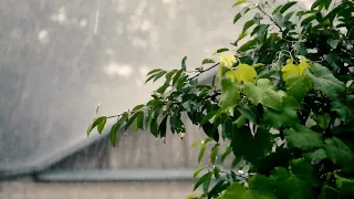 Entre em sono profundo: Som da Chuva Contra Insônia e Trovoadas (Isso vai te fazer dormir)