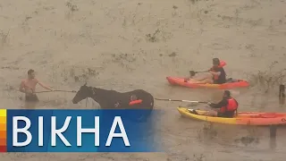 Дома разрушены, а дожди не прекращаются! Мощнейшие за полвека наводнения в Австралии | Вікна-Новини