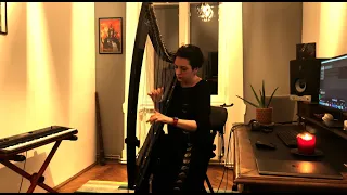 The last of us (Astray) - (electric harp cover)