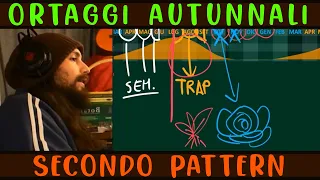 PATTERN 2 (integrale) ORTAGGI da SEMINARE in ORTO AUTUNNALE - Corso Agriculture Evolutive