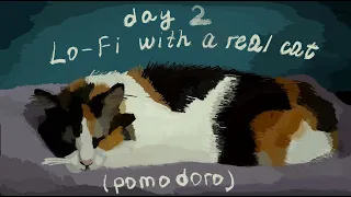 2-Hours Study with a Cozy Cat / Pomodoro 50-10 / Relaxing Lo-Fi / Day 2