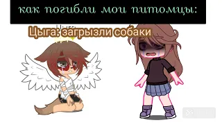 *как погибли мои питомцы/идея моя*#gacha #gachanox #подпишитесь #хочуактив