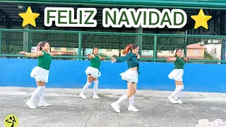 Feliz Na Vidad Remix | Zumba | Merengue | Dance Fitness | Zin Geo