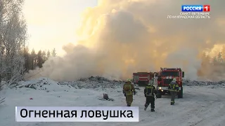 Вести Санкт-Петербург. Выпуск 21:05 от 03.01.2024