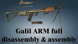 Galil ARM: full disassembly & assembly