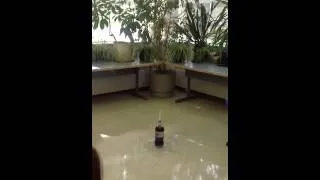 coke and mentos