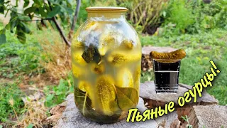 Ядрёные 💥С ВОДКОЙ хрустящие квашенные огурцы как бочковые на зиму