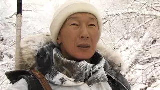 Hunting in Yakutia. Mountain sheep - chubuku.