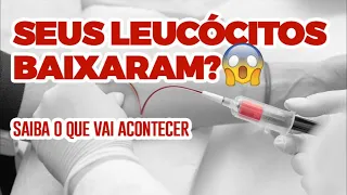 SOCORRO! SEUS LEUCÓCITOS BAIXARAM O QUE ACONTECE AGORA? | Dr. Dayan Siebra