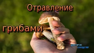 Всё об отравлении грибами / ALL ABOUT MUSHROOM POISONING