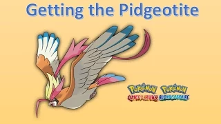 Where to get Pidgeotite in Pokemon Omega Ruby and Alpha Sapphire