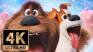 The Secret Life of Pets (2016) - Sausage Factory Scene (7/10)