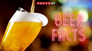 Facts About Beer & The Different Types Of Beers