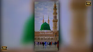 Hara Gumbad Jo Dekhoge Jamana Bhool Jaoge || Ghulam Mustafa Qadri Naat status || • Ayan Editz •#new