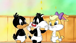 los pequeños looney tunes #36