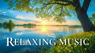 Relaxing Music For Stress Relief - Stop Overthinking 🌿 Treatment For The Heart And Blood Vessels