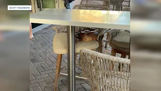 Boa constrictor spotted at Delray Beach restaurant