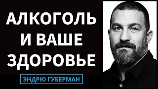 Что алкоголь делает с вашим телом, мозгом и здоровьем | Подкаст Эндрю Губермана #86