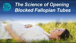 The Science of Opening Blocked Fallopian Tubes