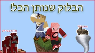 סקייבלוק שהוא רק בלוק אחד, שמביא הכל! | שורדים בבלוק אחד! 🏝️