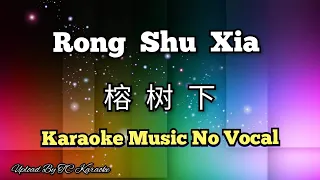 Rong Shu Xia 榕树下/榕樹下 karaoke no vocal
