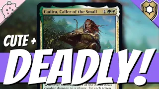 Cute and DEADLY! | Cadira, Caller of the Small | Commander Legends Baldur's Gate Spoiler | MTG