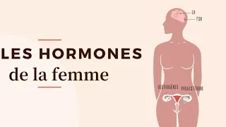 Naturopathie et Hormones chez la Femme (Webinaire)