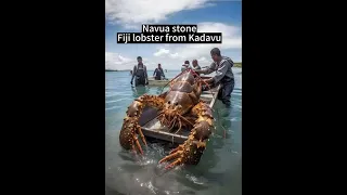 The world’s largest lobster ! #lobster #rocco #animals