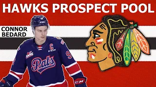 CHICAGO BLACKHAWKS Prospect Pool | Top 10 Prospects Ranking
