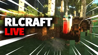 I Will Not Die in RLCraft Okay?