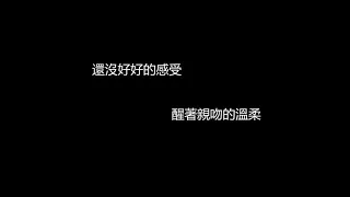 紅豆-王菲（歌詞版）有時候有時候