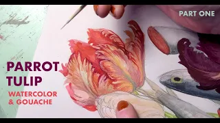 Painting a Parrot Tulip in Watercolor and Gouache (part 1) - Timelapse Tutorial