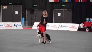 Bára Koblihová + Mexi (CZE) -3.place at FCI Dog Dance World Championship