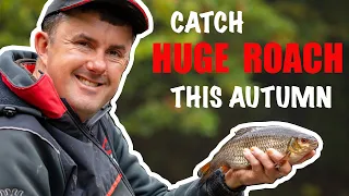 Roach Fishing Tips | Big Dogs On FREE Park Lake